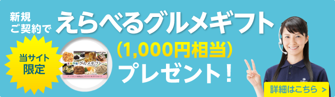 ごはんマイスター厳選のお米（600g）プレゼント・キャンペーン